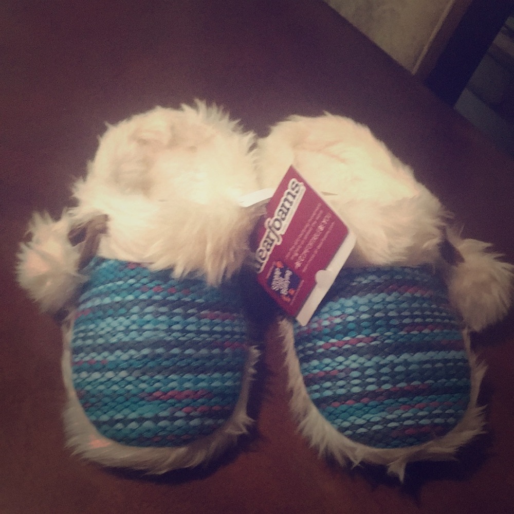 Blue slippers